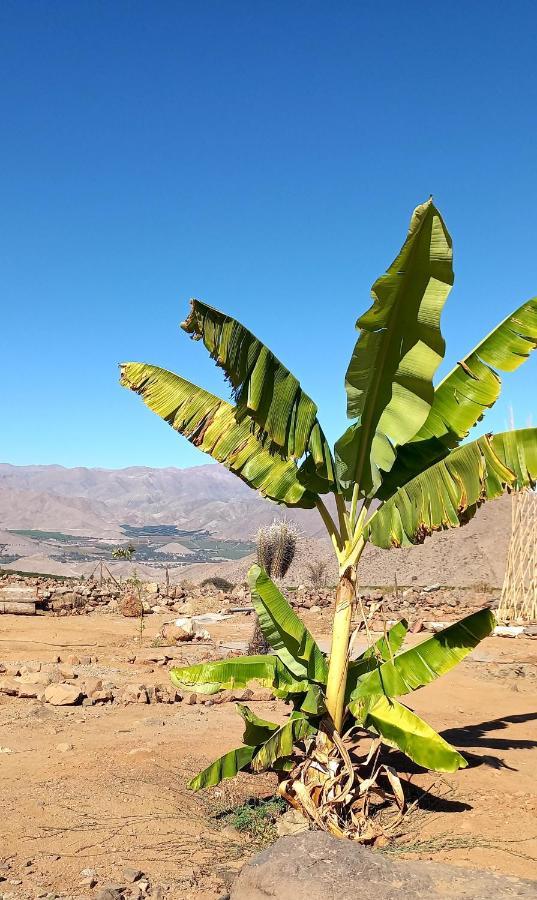 Campo De Cielo Mamalluca Valle De Elqui Викунья Экстерьер фото