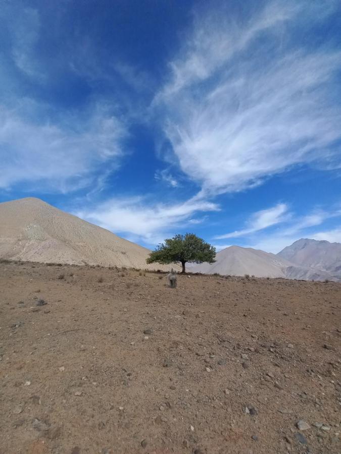 Campo De Cielo Mamalluca Valle De Elqui Викунья Экстерьер фото